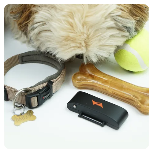 PAJ GPS Tracker For Dogs