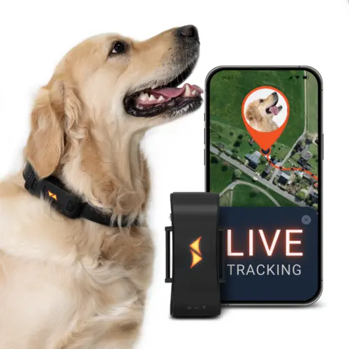 PET Finder 4G_PL_Main_22Sep2025_AVM