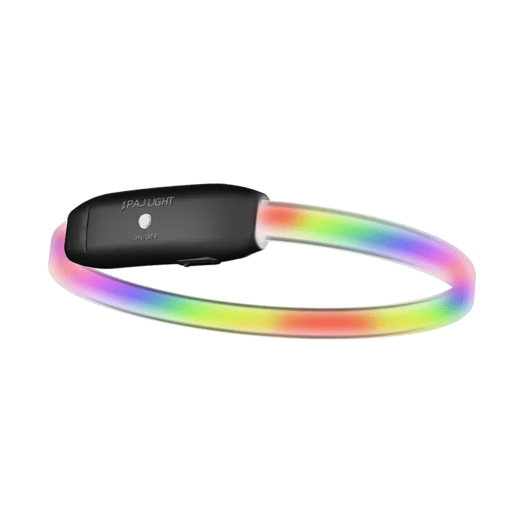 PAJ LIGHT black LED collar for dogs