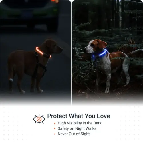 2.Features-PAJ-LIGHT-black-LED-collar-for-dogs-PAJ-GPS-Tracker.webp