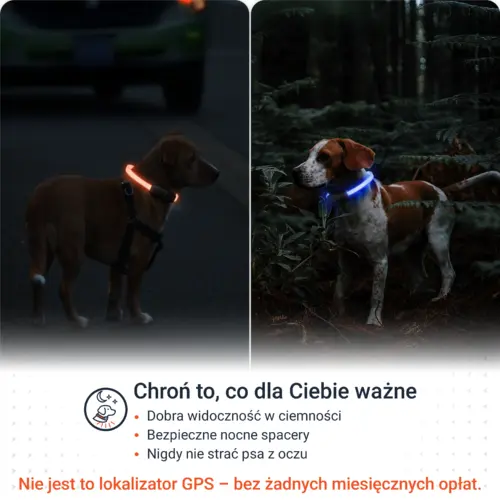 2.High visibility-PL-Black