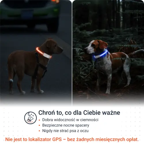2.High visibility-PL-White